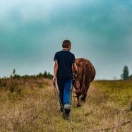 Farmers Receive Scholarships for Indiana Farm Conference